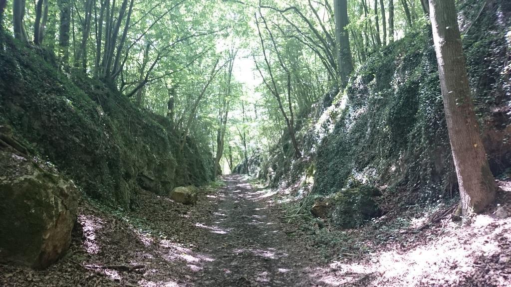 B&B Aux Anges Profondeville Dış mekan fotoğraf