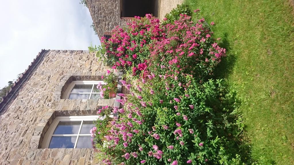 B&B Aux Anges Profondeville Dış mekan fotoğraf