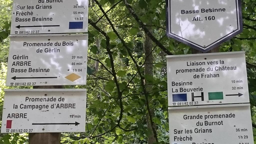 B&B Aux Anges Profondeville Dış mekan fotoğraf