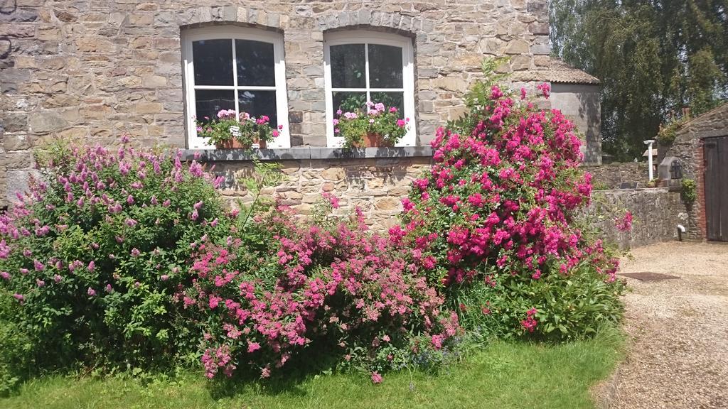 B&B Aux Anges Profondeville Dış mekan fotoğraf